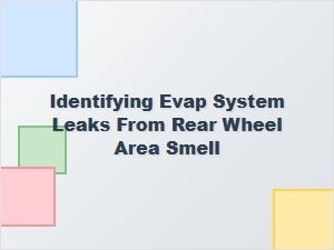 Identifying Evap Leaks From a Rear Wheel Smell