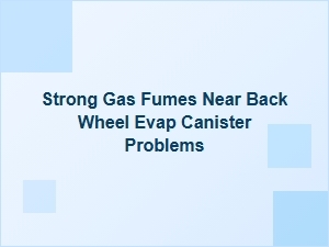 Strong Fumes Near the Evap Canister
